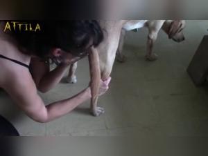 Explorando los limites: La pasion incontrolable de Jesse y su perro