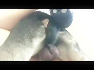 Watch this Woman in a Sex Scene with a Dog