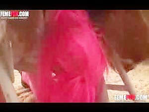 Discover intense and shocking moments