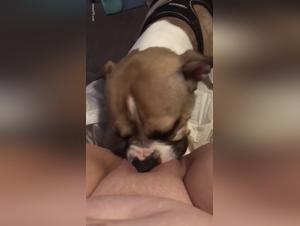 Female Obsessions: Discover the Indomitable Power of Animal Desire