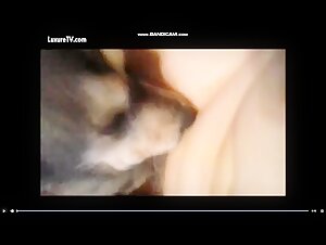 Extreme Video: Sex With Dog