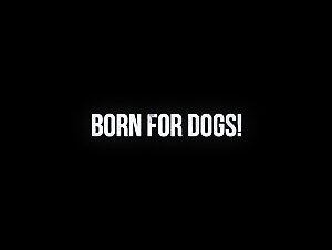 Bestiality video with Tine and a dog