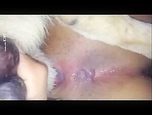Extreme sex video with dog