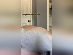 Homemade zoophilia with a pregnant dog