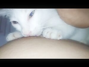 Bestiality sex video with woman and dog