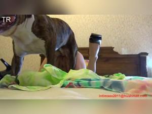 Feminine Ecstasy and Animal Instinct: An Explosive Mix