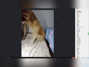 Brute Fuck with Adilia and her Dog
