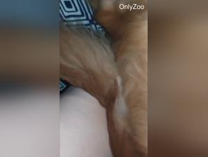 first time, Submission and Canine Pleasure