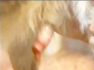 A Bestial and Extreme Sexual Experience