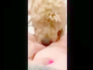 Discover the bestial antics of this submissive wife with her dog