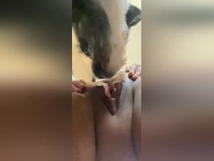 Explore animal desire in adolescent girls