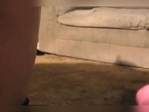 Raw sexual exploration: dog and Dog Maid in unbridled exchange