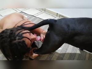 Perros, putas y delicias prohibidas