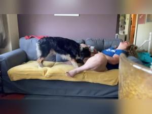 Sexual incontinence in the face of brute canine force