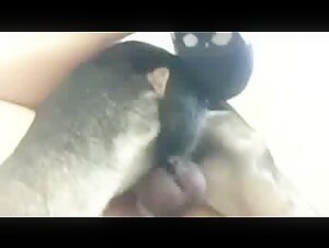 Bestiality sex video: a woman and her dog