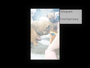 Extreme sex video with Chinese woman and dogs