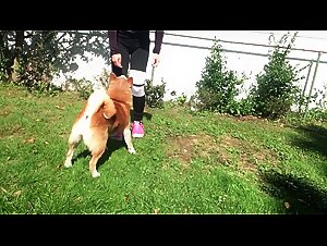 Check out our best dog bestiality videos