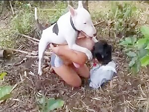 Sex videos with a Pitbull