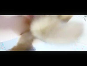 Explore the limits of zoophilia in this shocking video