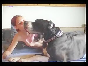 Canine blowjob in bestiality sex video