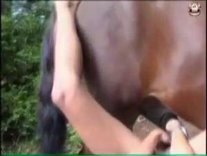 Deep throat, forced creampie: Merciless animal domination