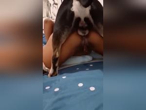 canine power, insatiable desire