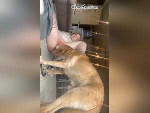 Exploring the Limits of Unhealthy Desire: Dog vs. Woman in a Hardcore Confrontation