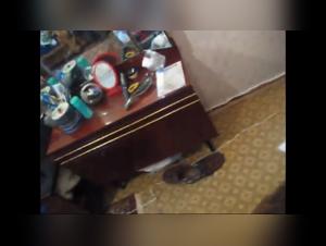 Wild sensuality: Discover animal pleasure in women