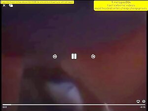 Bestiality Sex Video: Discover the Unexpected
