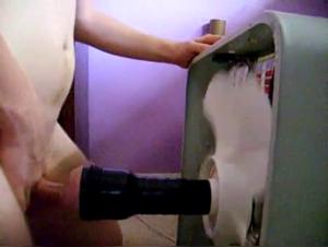 Part 1: A Decadent Exploration of Animal Desire