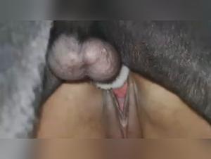 Animal Creampie: The Apogee of Bestial Sexual Delirium