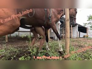 Tiefenrausch und Sperma fluten Coral Station in dieser Hardcore-Szene