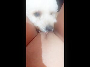 Discover the pleasure of the extreme with this sex video with dog