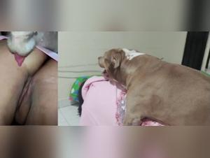 Saddened by desire, she succumbs to her animal: Explore the dark side 98/144