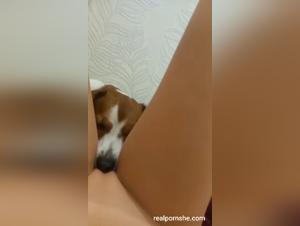 Wild satisfaction: dog and human merger