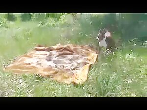 Watch this Russian woman fuck with a dog