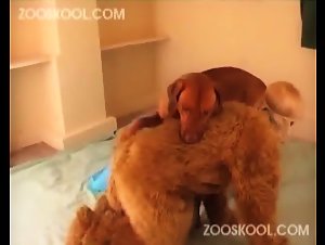 Discover the extreme sensitivity of sex with animals in this unique anthology