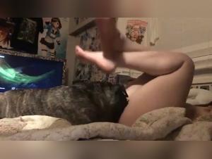 Hardcore video: canine domination and animal impulses
