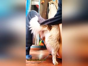 Brute Animal Fuck: Cum Drips in Her Deep Hole