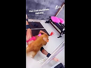 Dog Sex Video: An Exciting Experience