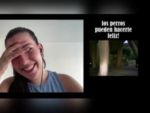 Explore the Irregular: Forbidden Relations with Milly and her Dog