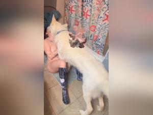 Exclusive Videos: Canine Obsession and Reckless Delights