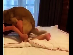 Bestiality: The unexpected love between animals and humans