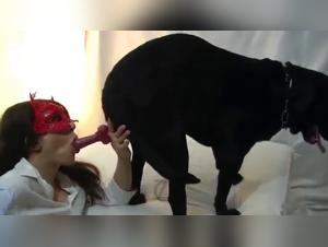 Lise-passion: where love for dogs becomes obscene