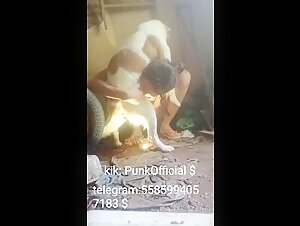 Amateur hardcore bestiality videos