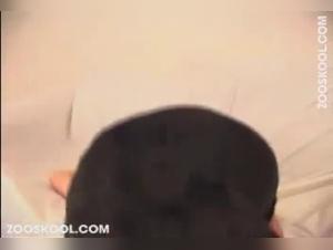 Fierce Seduction: Women Unleashed by Bestiality