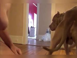 Explore the heights of forbidden pleasure: Hardcore Rimmage, reveal the ultimate satisfaction.