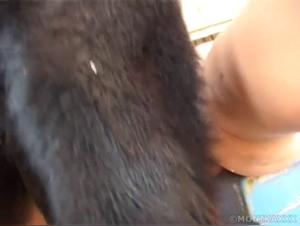 A slut meets canine desire in this wild porn