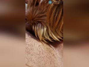 Part One of an Obsession: Wild Fuck with Dog