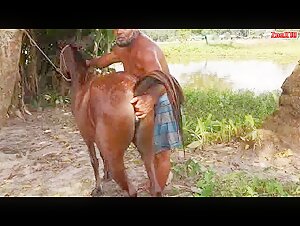 Video de Bestialidad con una Yegua